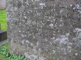 image of grave number 36395